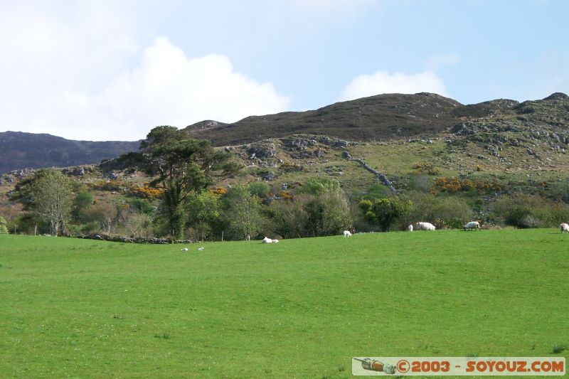 Ring of Kerry
