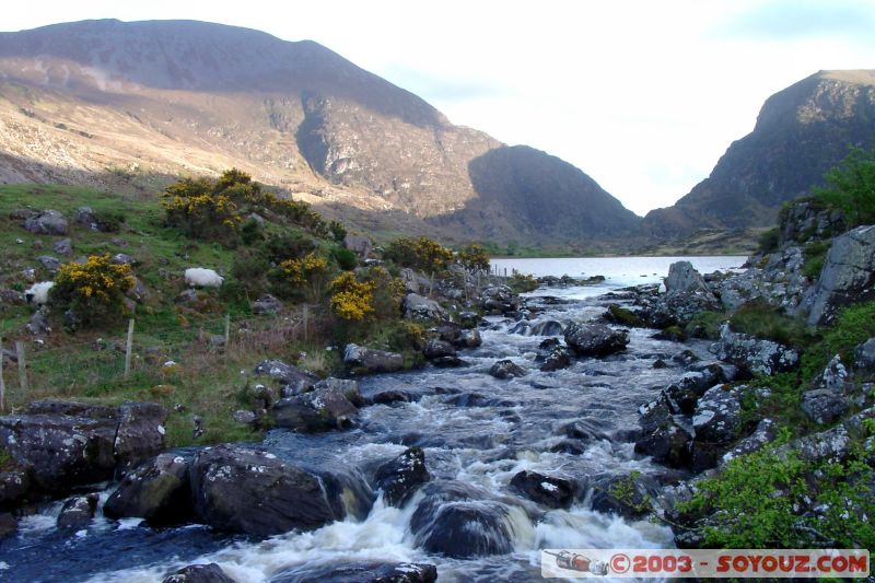 Killarney National Park
