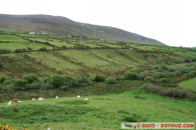 Dingle Peninsula
