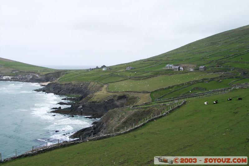 Dingle Peninsula - Ventry Harbour
