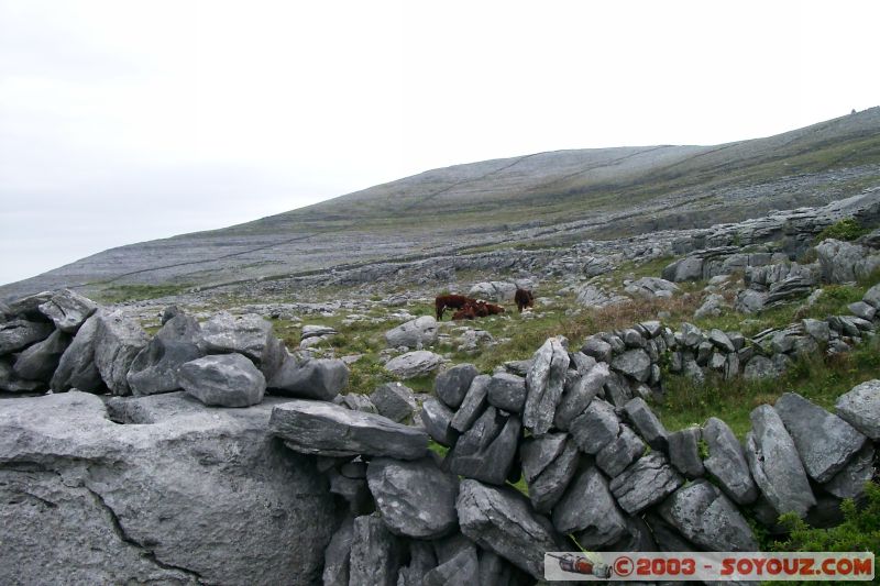 The Burren
