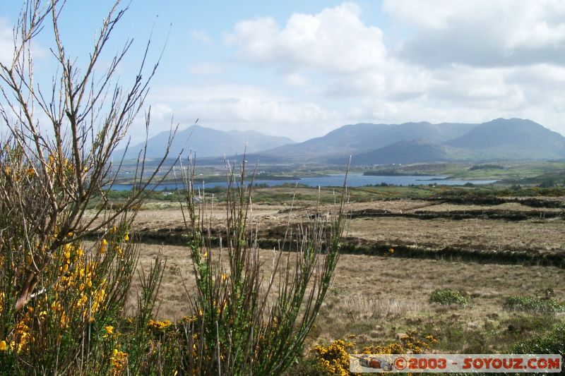 Connemara - Moyard
