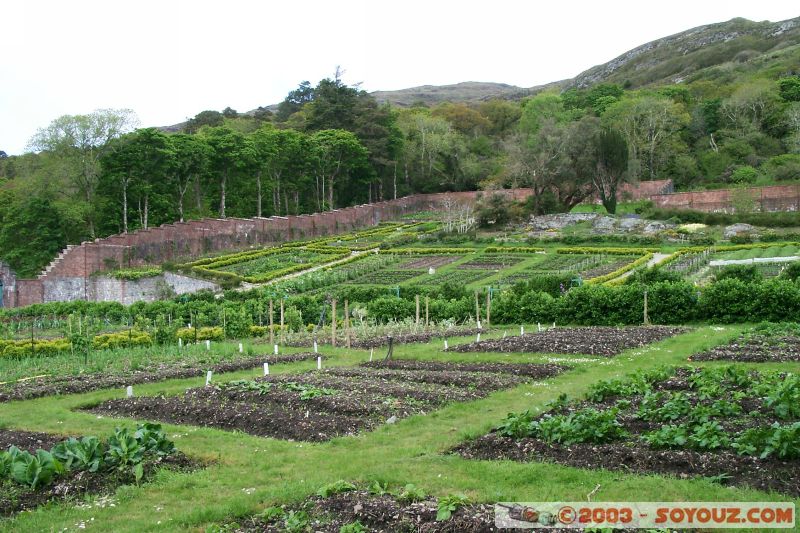 Connemara - Kylemore Abbey garden
