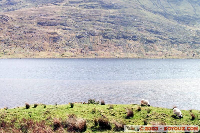 Connemara
