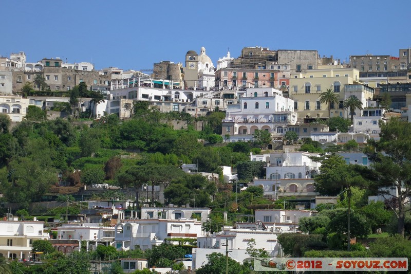 Capri
Mots-clés: Campania geo:lat=40.55346599 geo:lon=14.23747562 geotagged ITA Italie Marina Grande Marina Grande Di Capri