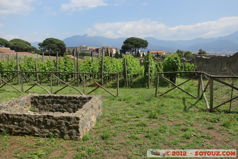 Pompei Scavi - Casa della Nave Europa
Mots-clés: Campania geo:lat=40.75056804 geo:lon=14.49177078 geotagged ITA Italie Pompei Scavi Ruines Romain patrimoine unesco Regio I