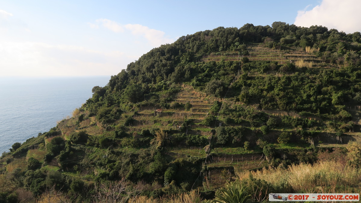 Cinque Terre - Corniglia
Mots-clés: Corniglia ITA Italie Liguria Parco Nazionale delle Cinque Terre patrimoine unesco vignes