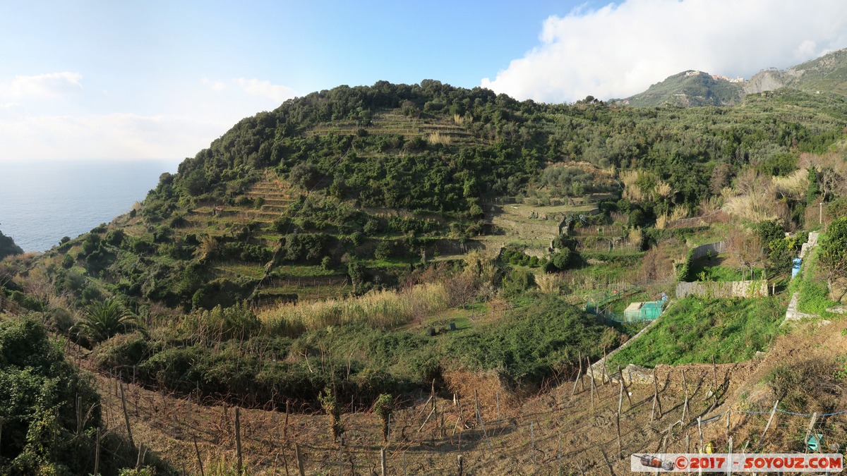 Cinque Terre - Corniglia - panorama
Mots-clés: Corniglia ITA Italie Liguria Parco Nazionale delle Cinque Terre patrimoine unesco panorama vignes