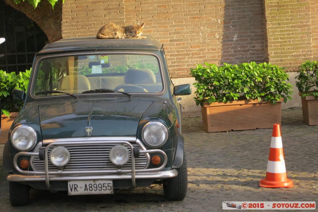 Roma - gatto addormentato
Mots-clés: geo:lat=41.88932386 geo:lon=12.48291821 geotagged ITA Italie Lazio Roma Sant&#039; Angelo chat voiture