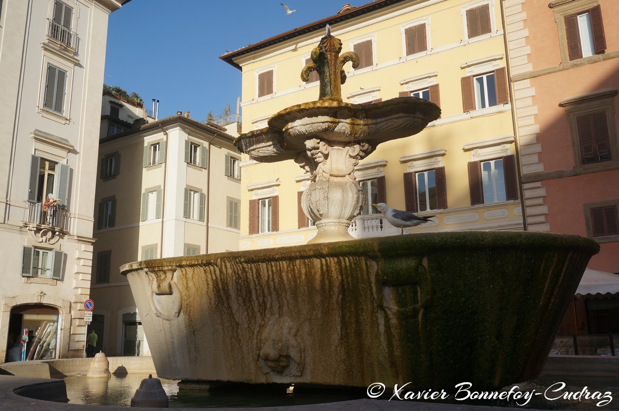 Roma - Fontana di Piazza Farnese
Mots-clés: geo:lat=41.89514790 geo:lon=12.47127161 geotagged ITA Italie Lazio Regola Torre Spaccata Roma Fontaine Fontana di Piazza Farnese Mouette oiseau animals