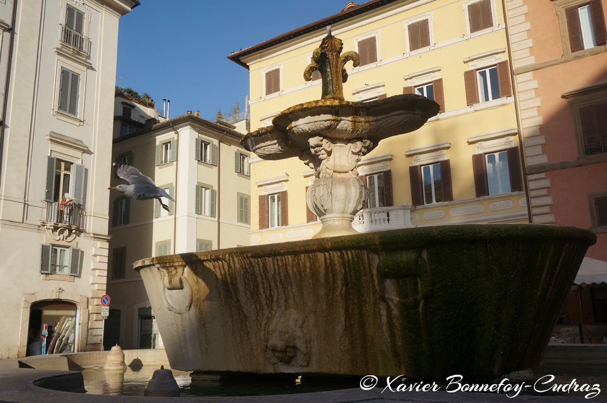 Roma - Fontana di Piazza Farnese
Mots-clés: geo:lat=41.89514790 geo:lon=12.47127161 geotagged ITA Italie Lazio Regola Torre Spaccata Roma Fontaine Fontana di Piazza Farnese Mouette oiseau animals