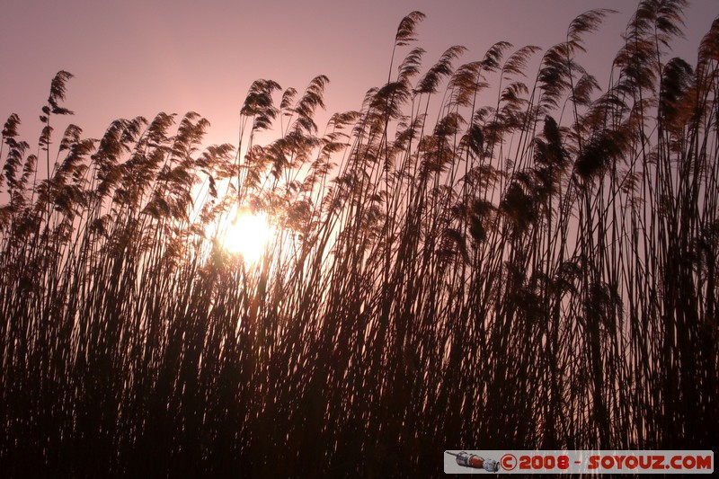 Le long du lac Ohrid
Mots-clés: patrimoine unesco sunset Lac