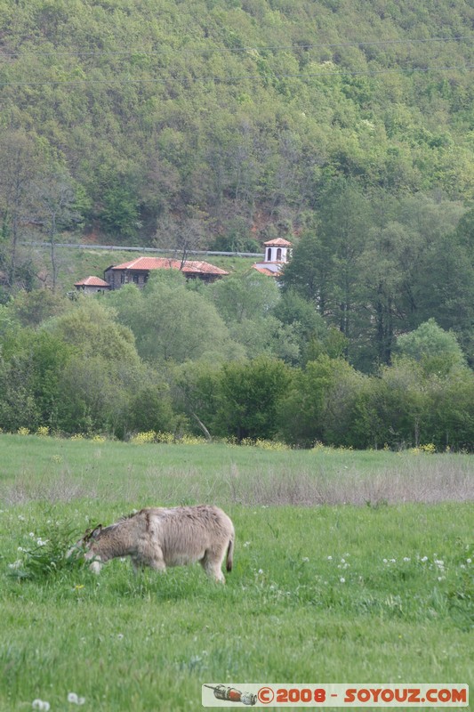 Sveti Naum
Mots-clés: patrimoine unesco