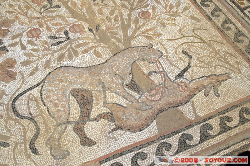 Bitola - Heraclea - Mosaic
Mots-clés: Ruines Romain Mosaique
