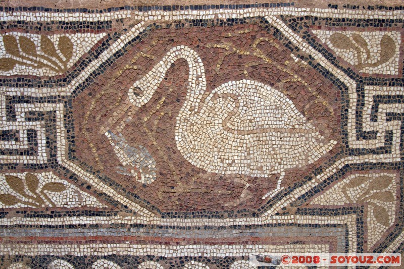 Bitola - Heraclea - Mosaic
Mots-clés: Ruines Romain Mosaique