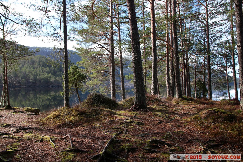 Hornindalsvatnet - Holmoyane
Mots-clés: geo:lat=61.94542448 geo:lon=6.46942548 geotagged Holmøyane NOR Norvège Sogn og Fjordane Lac Montagne paysage