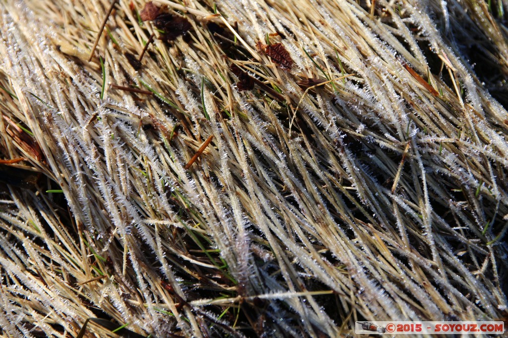 More og Romdal - Tennfjord - Ice on grass
Mots-clés: geo:lat=62.53026300 geo:lon=6.58312575 geotagged More og Romdal NOR Norvège Tennfjord Norway Lumiere