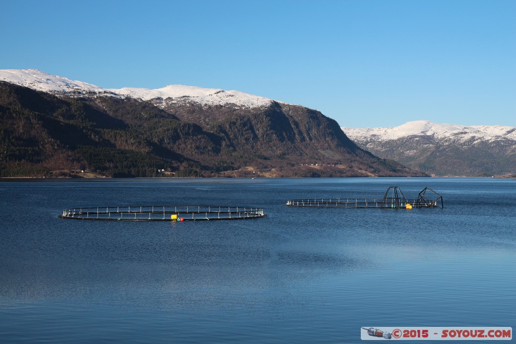 More og Romdal - Valsoyfjord - Salmon farm
Mots-clés: geo:lat=63.13273166 geo:lon=8.46382519 geotagged More og Romdal NOR Norvège Valsøyfjord Norway Fjord Montagne Neige