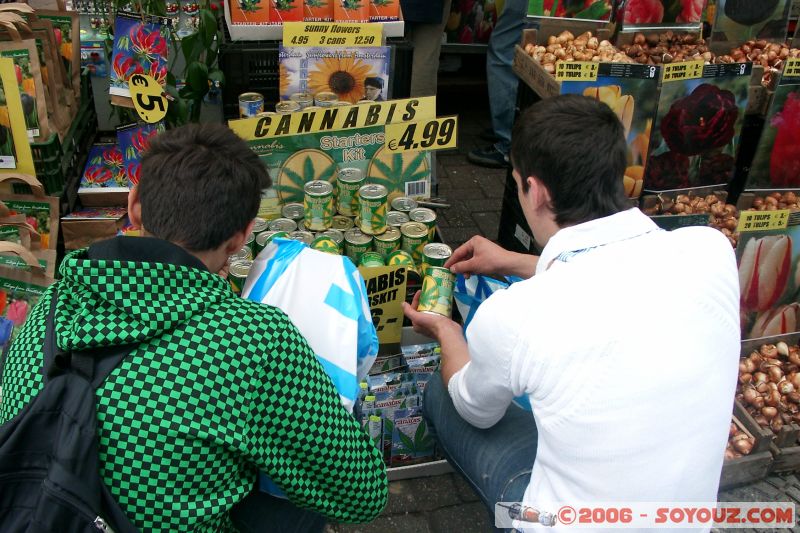 Amsterdam - Cannabis starter kit
Mots-clés: Amsterdam