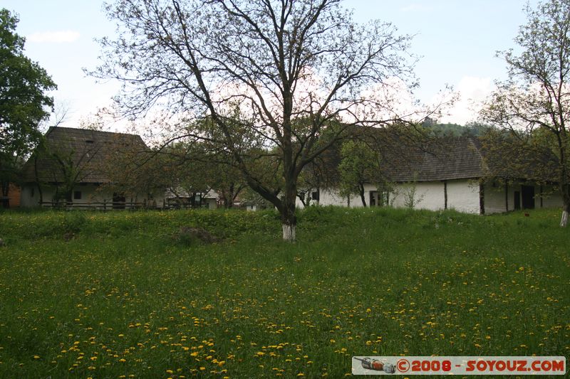 Bran - Traditional house museum
