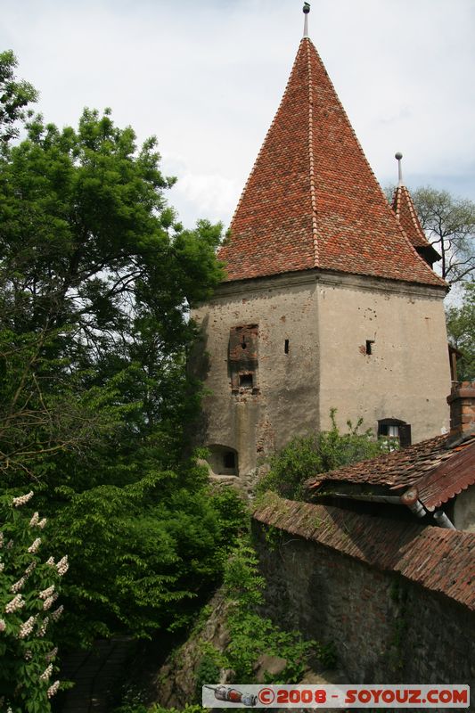 Sighisoara - Tour de garde
Mots-clés: patrimoine unesco chateau