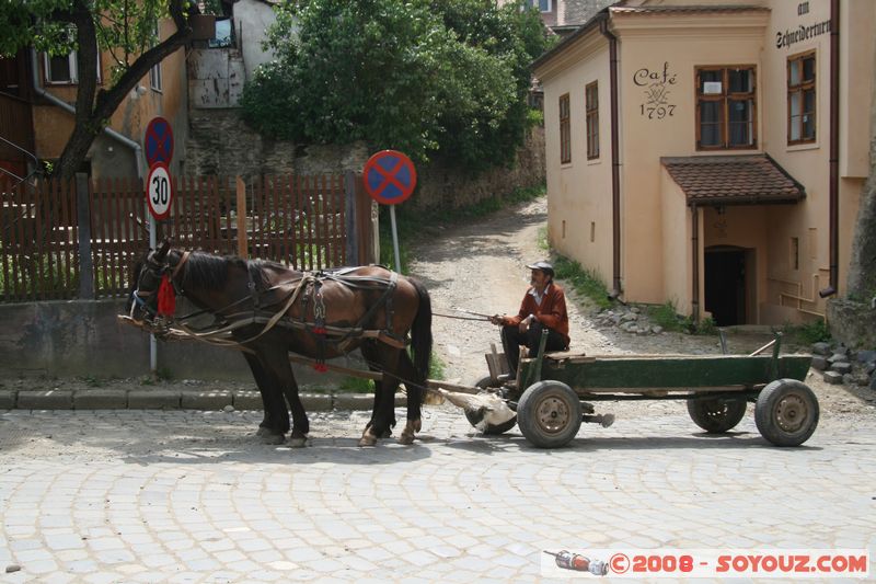 Sighisoara - voiture a cheval
Mots-clés: animals cheval