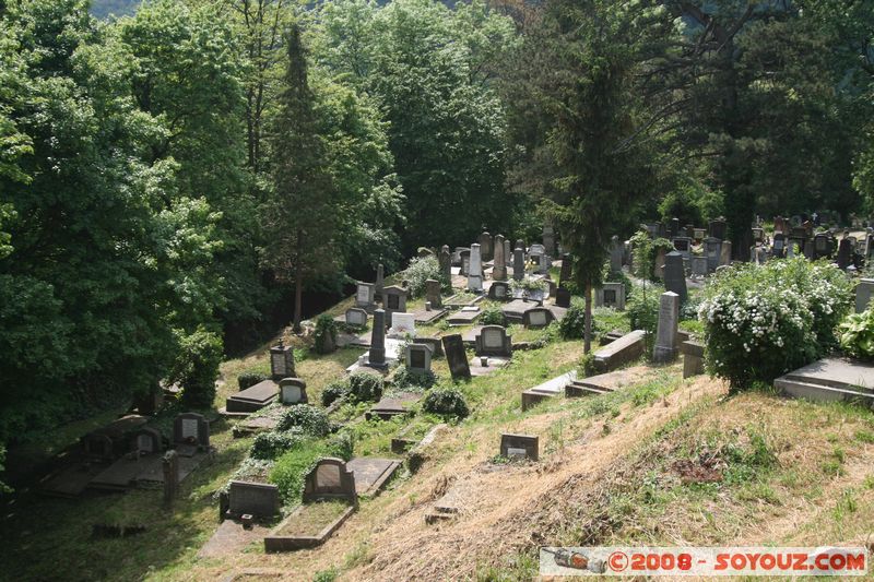 Sighisoara - Biserica din Deal - Cimetiere
Mots-clés: cimetiere