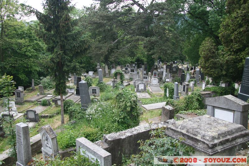 Sighisoara - Biserica din Deal - Cimetiere
Mots-clés: cimetiere