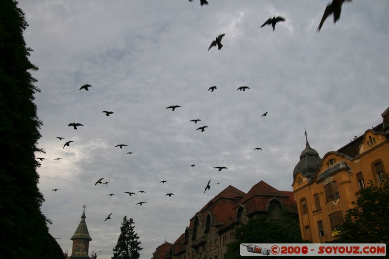 Timisoara - Piata Victoriei
