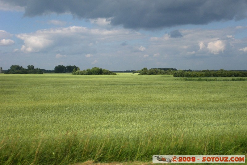 Novosibirsk - Tomsk - paysage
