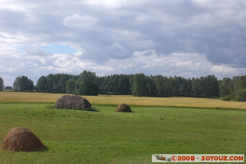 Novosibirsk - Tomsk - paysage
