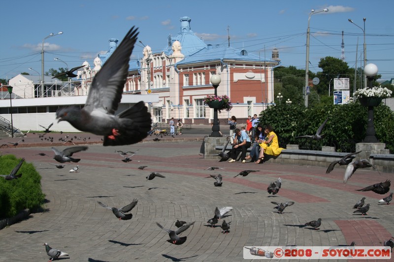 Tomsk - Place Lenine
Mots-clés: animals oiseau pigeon