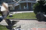 IMG_1658.JPG