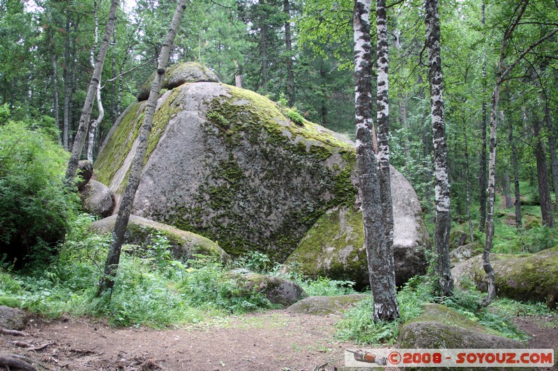 Reserve Naturelle de Stolby
Mots-clés: Arbres