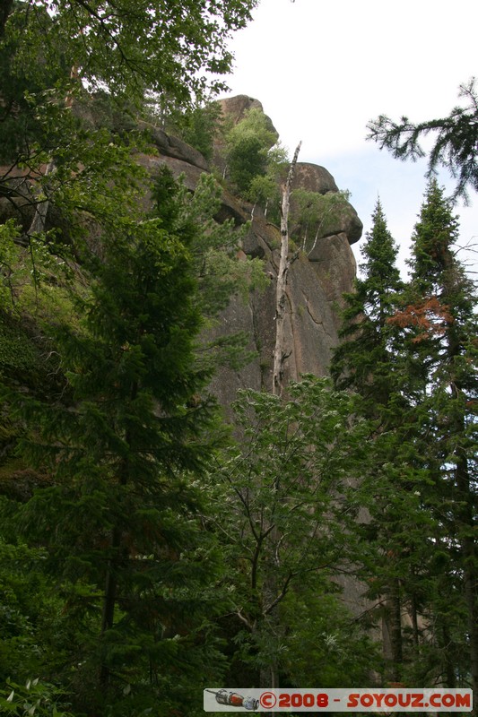 Reserve Naturelle de Stolby
Mots-clés: Arbres