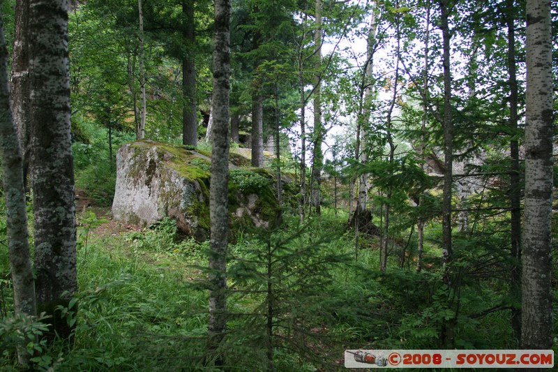 Reserve Naturelle de Stolby
Mots-clés: Arbres