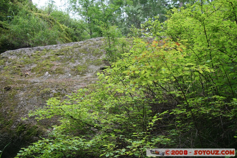 Reserve Naturelle de Stolby
Mots-clés: Arbres