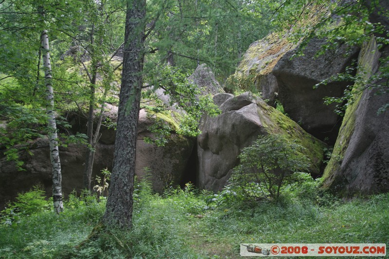 Reserve Naturelle de Stolby
Mots-clés: Arbres