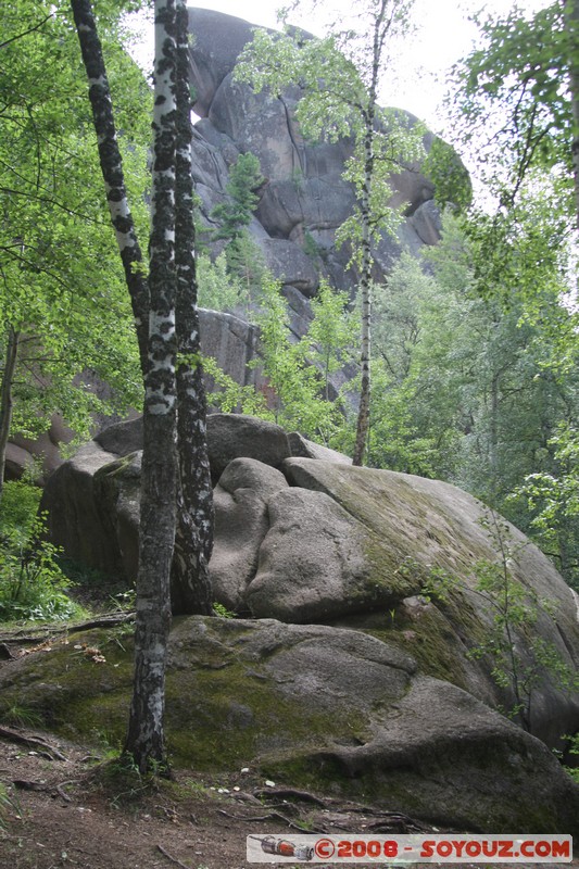 Reserve Naturelle de Stolby
Mots-clés: Arbres