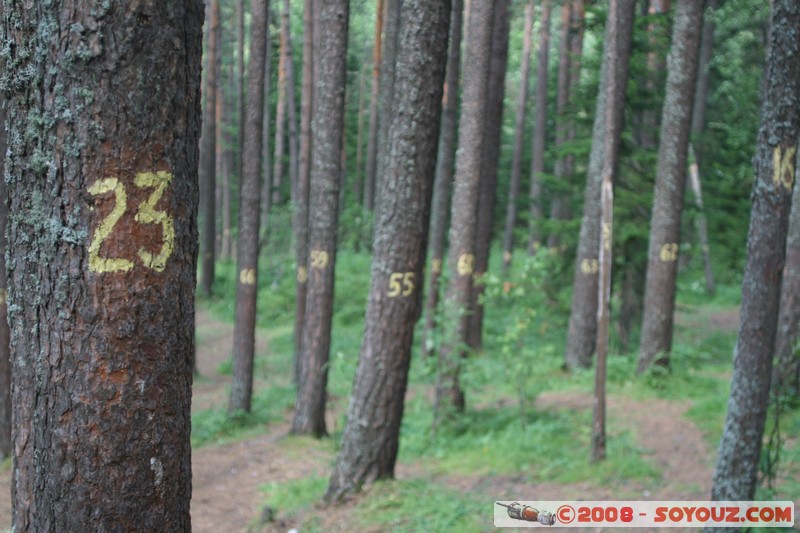 Reserve Naturelle de Stolby
Mots-clés: Arbres