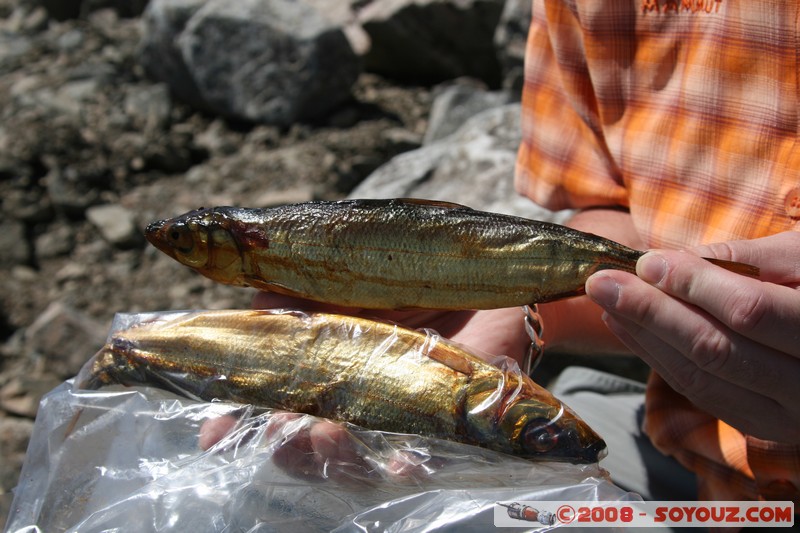 Nizhneangarsk - Omoul
Mots-clés: Poisson animals