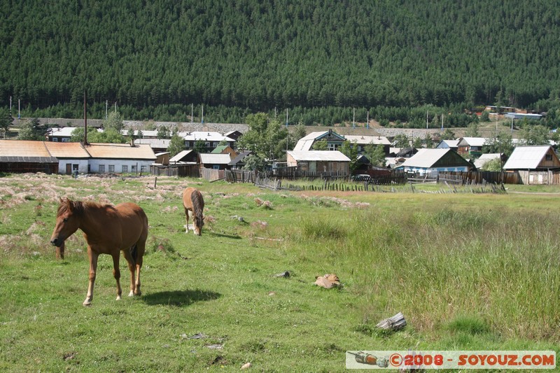 Nizhneangarsk
Mots-clés: animals cheval