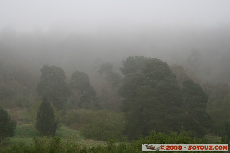 View from Rosslyn Chapel
Roslin, Scotland, United Kingdom
Mots-clés: paysage