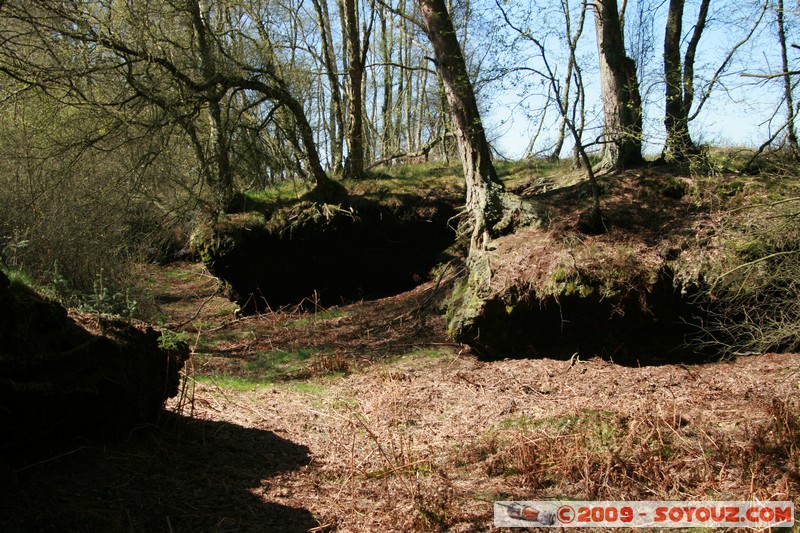 Fife - Ballingry
Ballingry, Fife, Scotland, United Kingdom
Mots-clés: Arbres