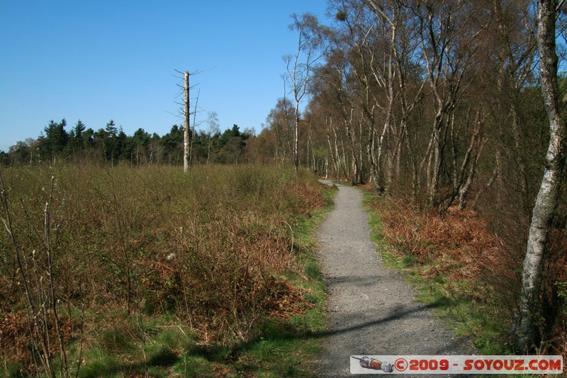 Fife - Ballingry
Ballingry, Fife, Scotland, United Kingdom
Mots-clés: Arbres