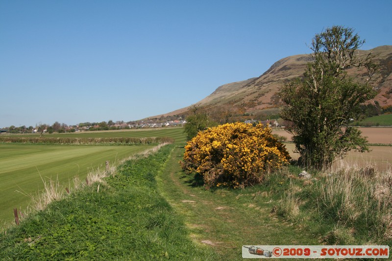 Fife - Ballingry
Ballingry, Fife, Scotland, United Kingdom
Mots-clés: Arbres