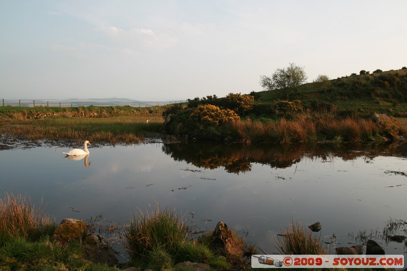 The Scottish Borders - Smailholm - Swan
Smailholm, The Scottish Borders, Scotland, United Kingdom
Mots-clés: animals oiseau Cygne