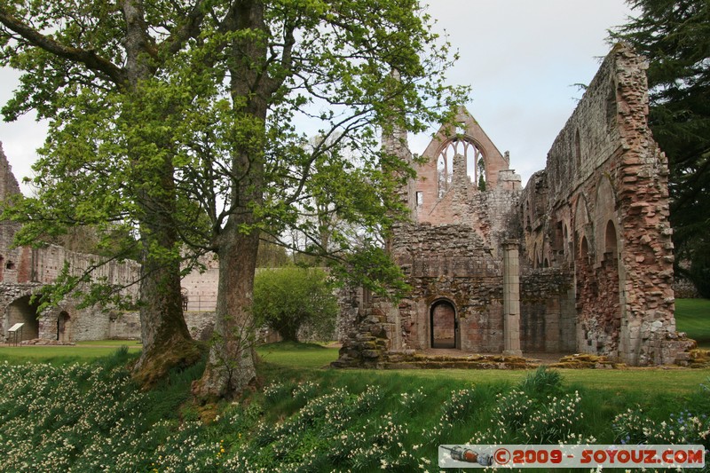 The Scottish Borders - Dryburgh Abbey
Saint Boswells, The Scottish Borders, Scotland, United Kingdom
Mots-clés: Eglise Ruines