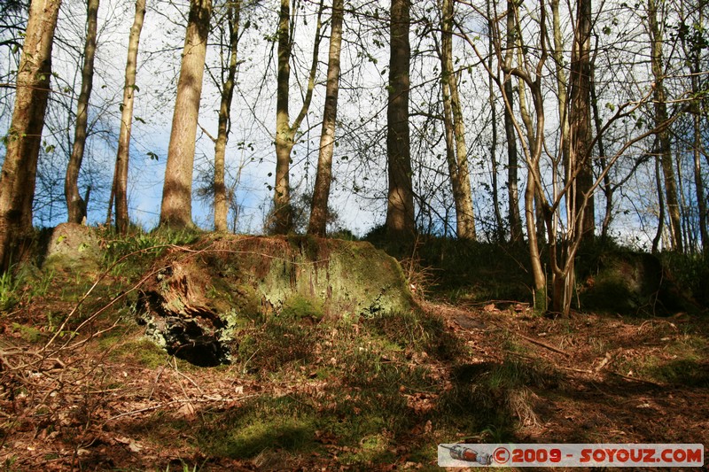 New Lanark
New Lanark, Scotland, United Kingdom
Mots-clés: Arbres