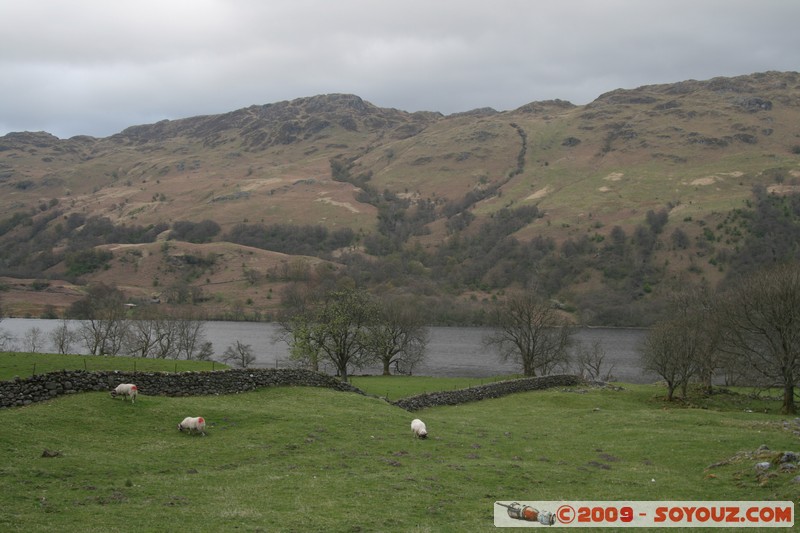 Loch Lomond
Ardlui, Argyll and Bute, Scotland, United Kingdom
Mots-clés: Lac